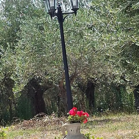 Annamaria