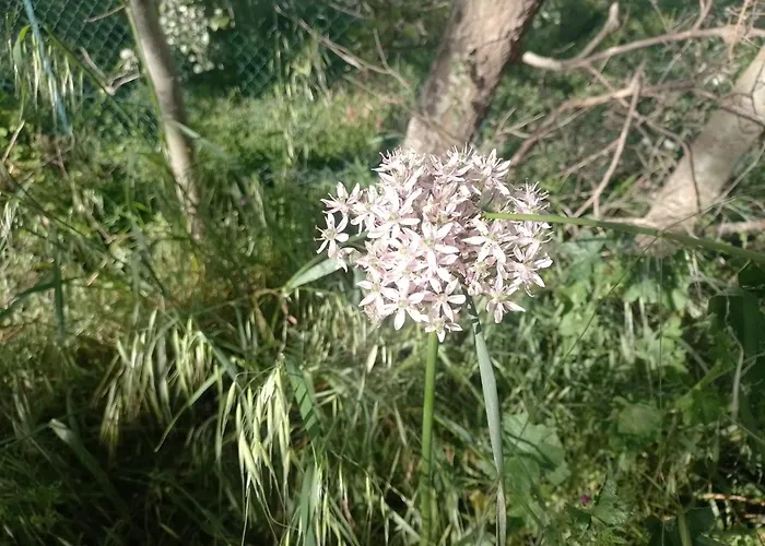 Annamaria Vendégház *