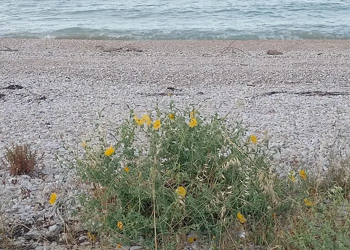 Annamaria Vendégház